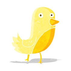cartoon yellow bird N20