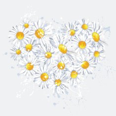 Heart Flower Camomile Abstract Shape - Illustration