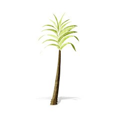 Cartoon Palm Tree N65