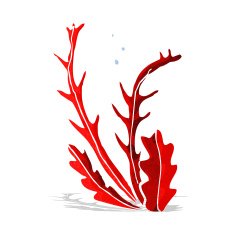 Cartoon Seaweed N35