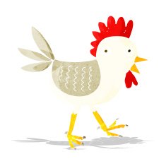 funny cartoon chicken N4