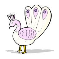 Cartoon Peacock N8