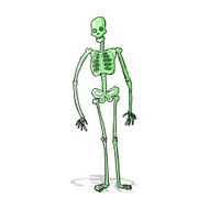 cartoon spooky skeleton N3