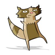 Cartoon Raccoon N21