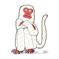 Cartoon Monkey N73