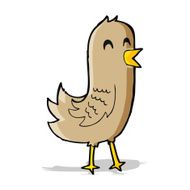 cartoon happy bird N12