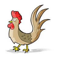 cartoon cockerel N12