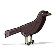 Cartoon Crow N17