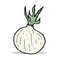 Cartoon Onion N12