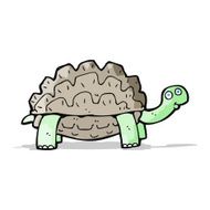 Cartoon Tortoise N36