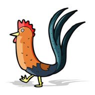 cartoon cockerel N13