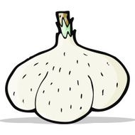 Cartoon Garlic N14
