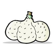 Cartoon Garlic N15