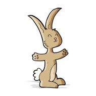 Cartoon Rabbit N79