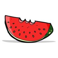 Cartoon Watermelon Slice N13