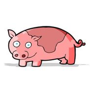 Cartoon Pig N49