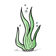 Cartoon Seaweed N38