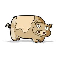 Cartoon Pig N50