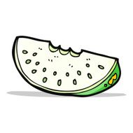 cartoon melon slice N9