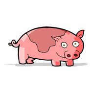 Cartoon Pig N51