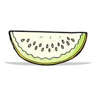 cartoon melon slice N11
