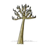 cartoon winter tree N4