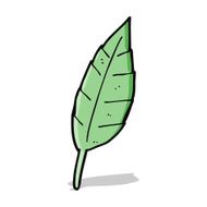 Cartoon Leaf N59