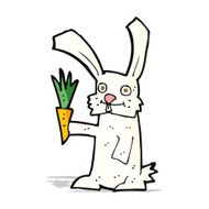 Cartoon Rabbit With Carrot N6