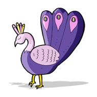 Cartoon Peacock N9
