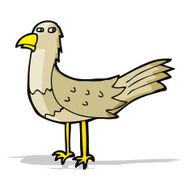 Cartoon Bird N195