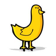 Cartoon Bird N197