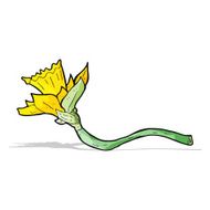 cartoon daffodil flower N3