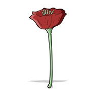 cartoon poppy N3