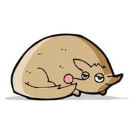 cartoon curled up dog N4