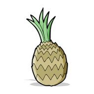 Cartoon Pineapple N13