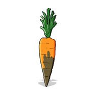 Cartoon Carrot N41