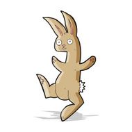 Funny cartoon rabbit N27