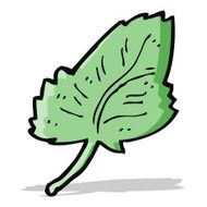 cartoon leaf symbol N22