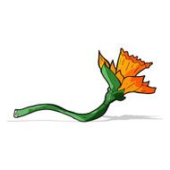 cartoon daffodil flower N4