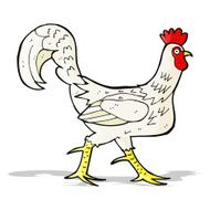 cartoon cockerel N16