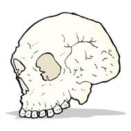 skull illustration N5
