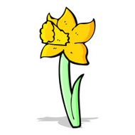 cartoon daffodil N5