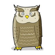 Cartoon Owl N104