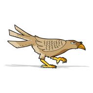 Cartoon Bird N204