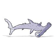 Cartoon Hammerhead Shark N9