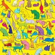 Colored cats pattern