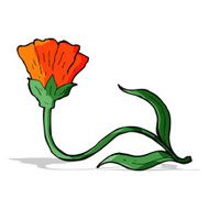 cartoon flower N246