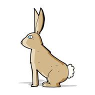 Cartoon Rabbit N86