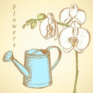 Sketch orchid and watering can vector background
