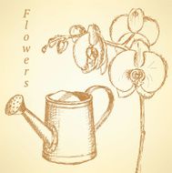 Sketch orchid and watering can vector background N2